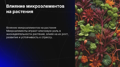 Влияние микроэлементов на организм растений