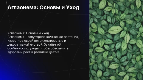 Аглаонема, общие сведения о цветке и его уход