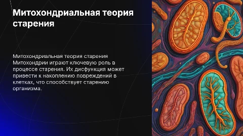 Митохондриальная теория старения