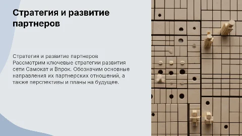 Стратегия партнеров сети Самокат и Впрок и их развитие