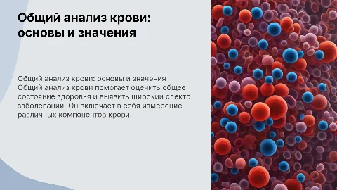 общий анализ крови
