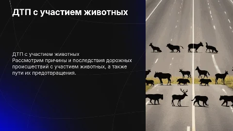 Дорожно-транспортные происшествия с участием животных