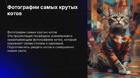 фото крутых котов