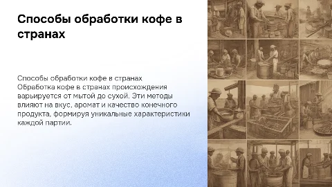 Виды и описание обработки кофе в странах происхождения