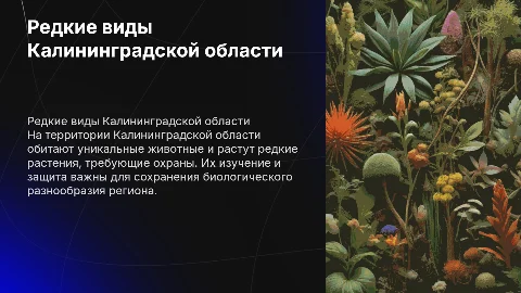 Редкие животные и растения Калининградкой области