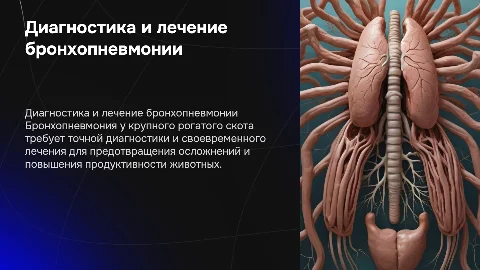 Лечение и диагностика бронхопневмонии крупного рогатого скота