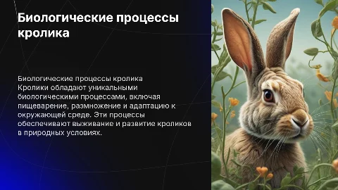 биологический процес кролика