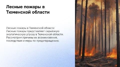 Лесные пожары как экологическая проблема Тюменской области