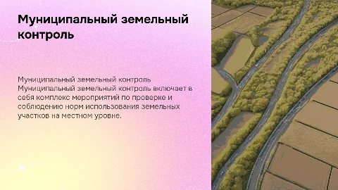 Муниципальный земельный контроль: понятие и характеристика