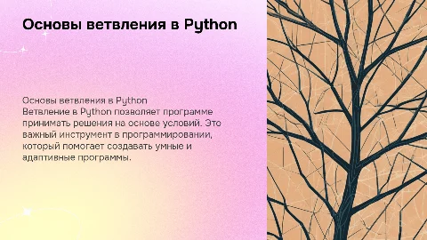 Конструкции ветвления в Python для детей 7-14 лет