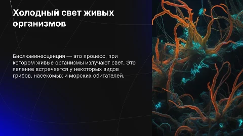 Биолюминесценция: холодный свет живых организмов