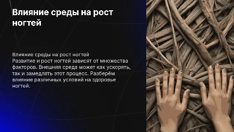 Развитие и рост ногтей: влияние факторов внешней среды