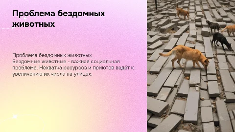 презентация на тему бездомные животные