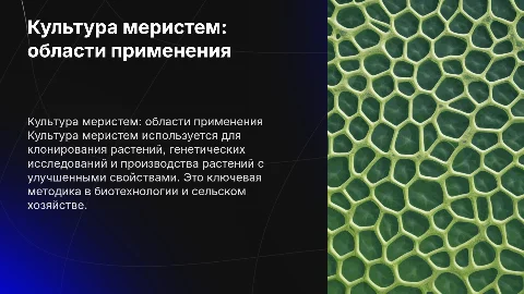 культура меристем где применяется