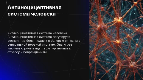 распеши подробно Антиноцицептивная система