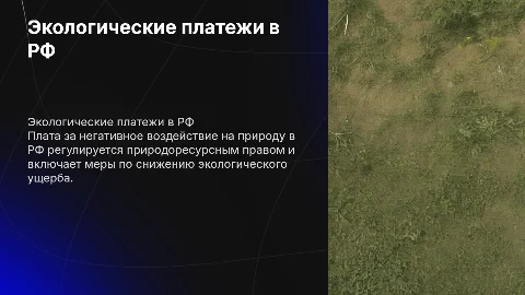 Плата за негативное воздействие на окружающую среду в РФ