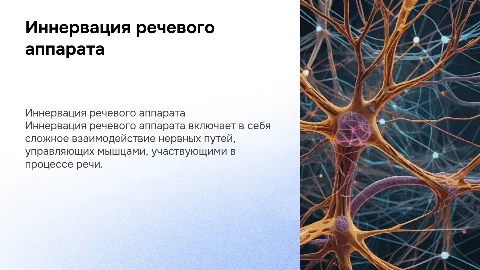 Иннервация речевого аппарата