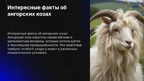 Ангорская коза