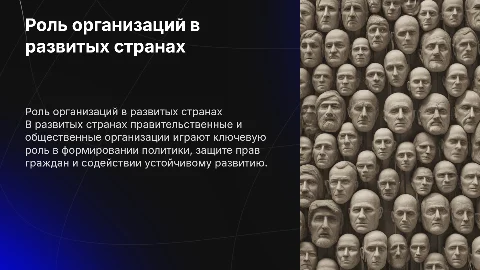 Роль правительственных и общественных организаций в развитых странах