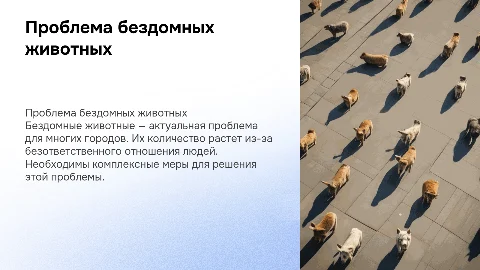Проблема бездомных животных: причины и пути решения