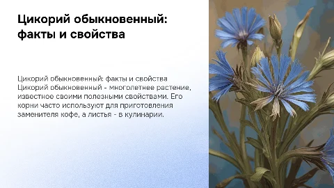 Цикорий обыкновенный