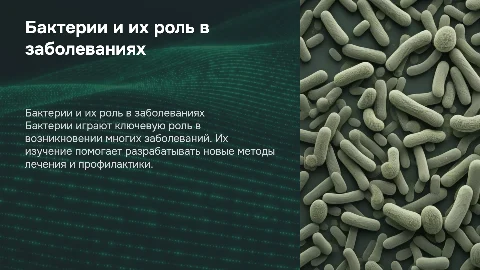 реферат на тему Бактерии вызывающие заболевания по биологии