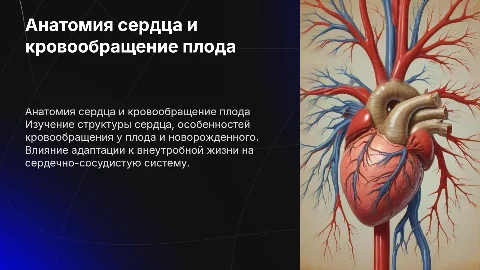 Анатомия сердца и особенности кровообращения плода