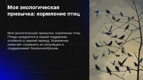 Моя экологическая привычка: кормление птиц
