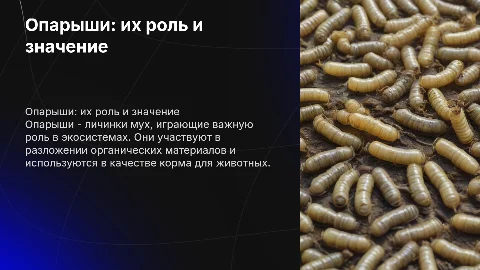Опарыши