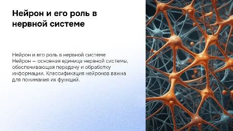 Нейрон, нервное волокно, строение, классификация