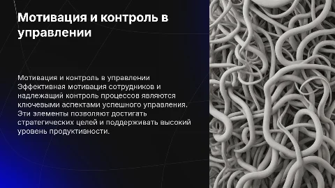 Мотивация и контроль в системе управления