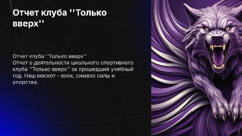 Отчет школьного спортивного клуба "Только вверх" за год