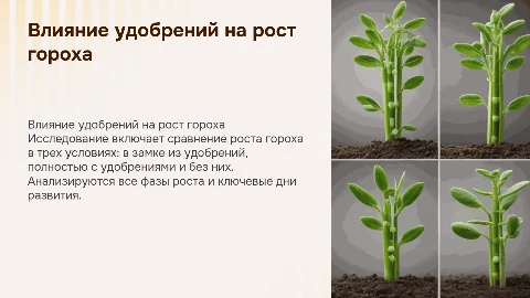 Влияние удобрений на горох: исследование трех методов