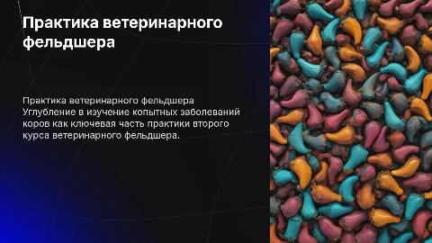 Практика студента 2 курса ветеринарного фельдшера в коровнике