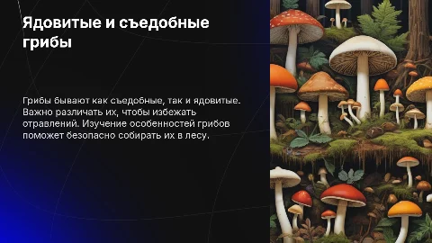 Ядовитые и съедобные грибы