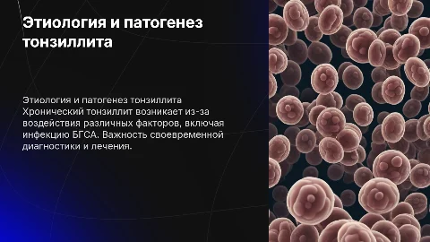 Этиология и патогенез хронического тонзиллита: БГСА