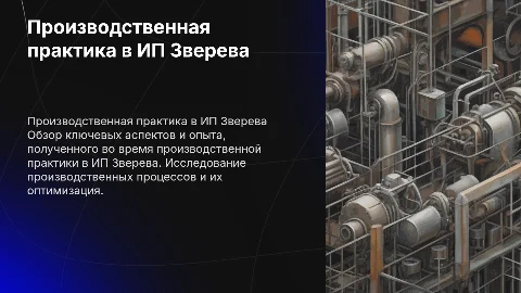 производственная практика, в организации ИП ЗВерева