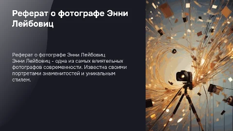 Реферат о фотографе Энни Лейбовиц