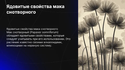 ядовитые растения мак снотворный на латинском языке
