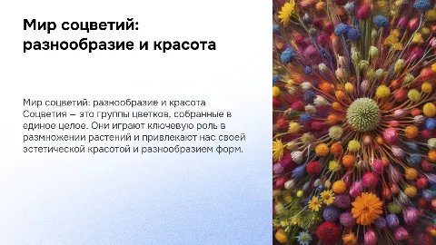 соцветия