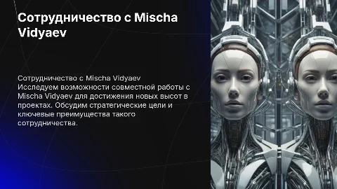 Сотрудничество с Mischa Vidyaev