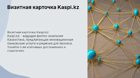 Визитная карточка организации Kaspi.kz
