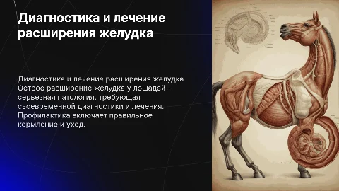 Диагностика и лечение острого расширения желудка у лошадей