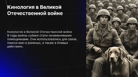 история кинологии в годы великой отечественной войны