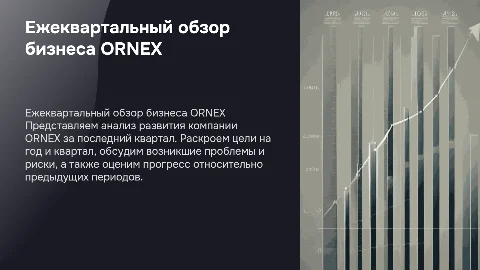 Ежеквартальный обзор бизнеса компании ORNEX: цели и риски