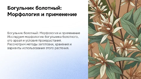 Богульник болотный: морфология, ареал и применение