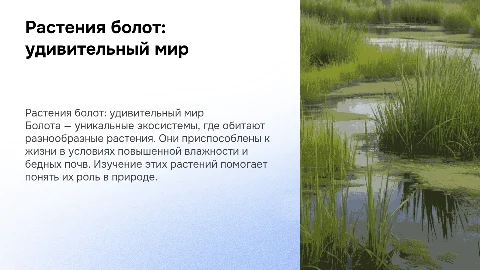 Интерактивная презентация о растениях болот для школьников