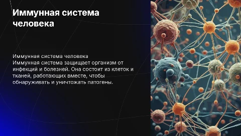 иммунная система человека