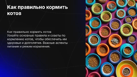 как правильно кормить котов