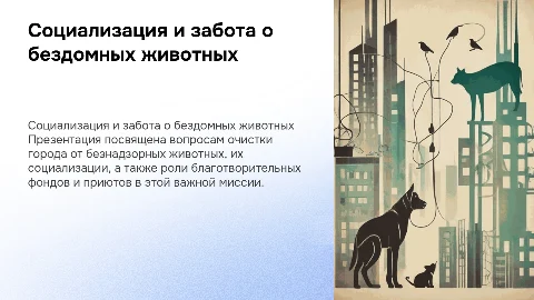 Очищение города от безнадзорных животных и социализация собак